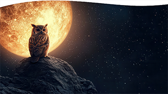 The Silent Watcher: Conveyer of the Soul’s Purpose