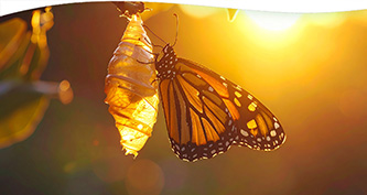 Karma and Reincarnation Workshop