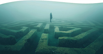 Navigating the Labyrinth of Life
