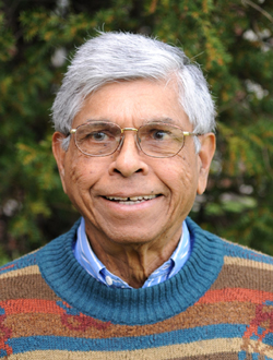 Theosophical Society - C. Jotin Khisty, Ph.D., is professor emeritus in the department of civil, architectural, and environmental engineering at the Illinois Institute of Technology. His article "The Marriage of Buddhism and Deep Ecology" appeared in the Spring 2009 issue of Quest.