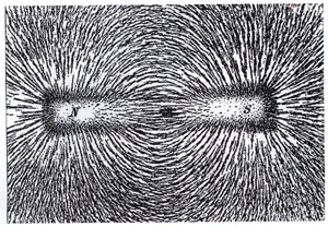 Theosophical Society -  Figure 6. Magnetic field lines.